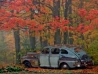 pic for autumn car